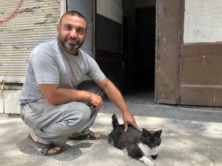 Kedi her sabah sahibini kapıda karşılayarak kucaklıyor