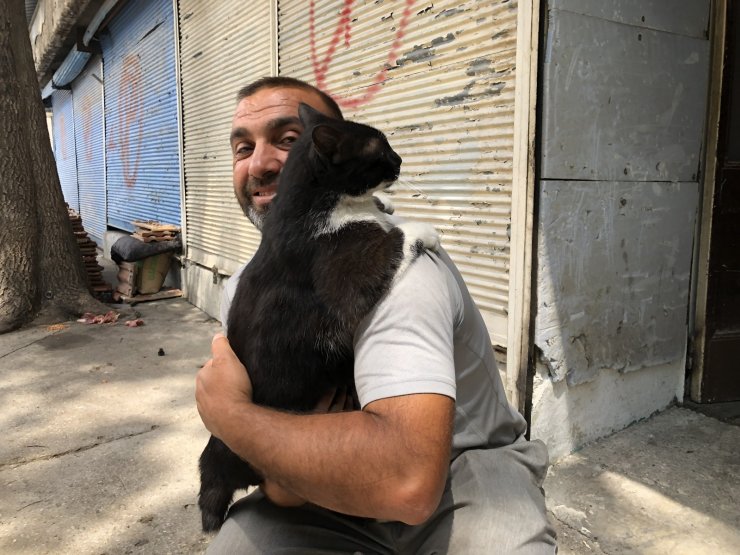 Kedi her sabah sahibini kapıda karşılayarak kucaklıyor