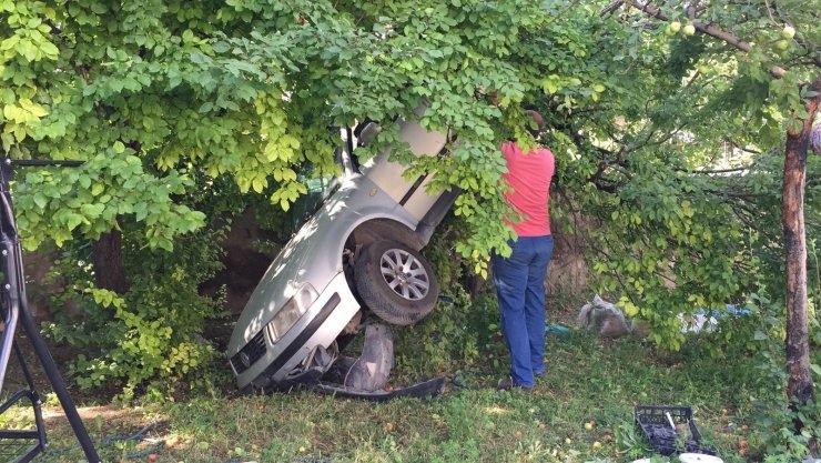 Kazada bahçeye düşen otomobil erik ağacında asılı kaldı