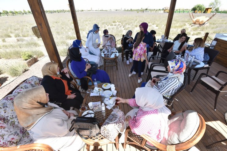 Belediye başkanlarının eşleri Karatay lavanta bahçesini gezdi