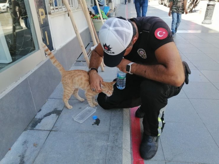 Aksaray’da polisin hayvan sevgisi yürekleri ısıttı