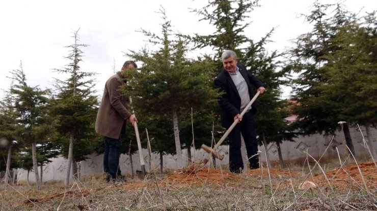 Bozkırı yeşillendiren ‘Oksijen Adam’ 300 bin fidanı toprakla buluşturdu