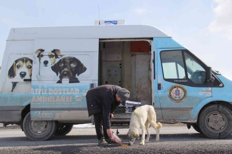 Bünyan Belediyesi’nden hayvanlara yem desteği