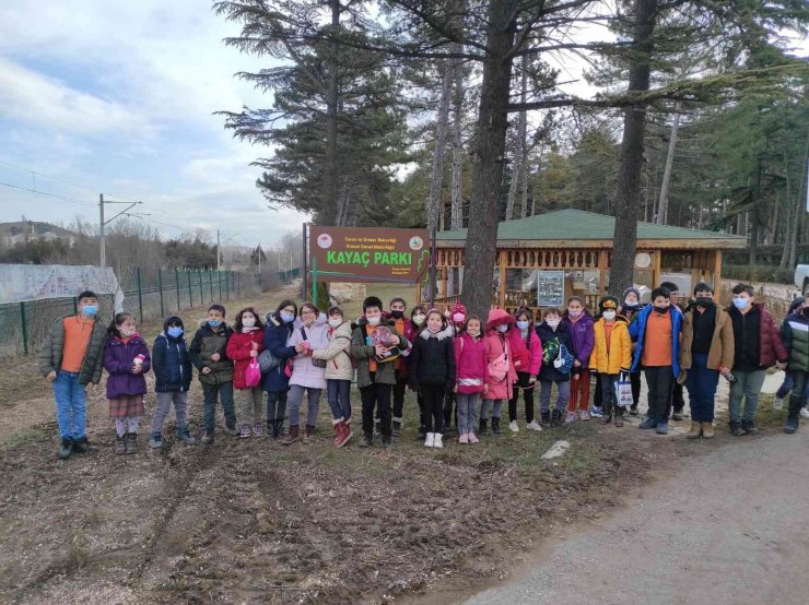 İlkokul öğrencileri ağaç ve toprağı tanıdı