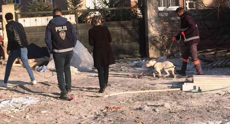 Konya’da başıboş pitbull cinsi köpek yakalanarak barınağına götürüldü