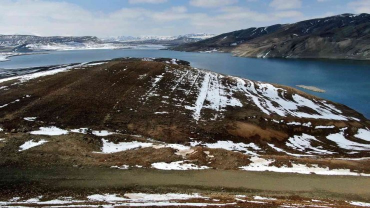 Büyük umutlarla oluşturulmak istenen orman, keçilere yem oldu