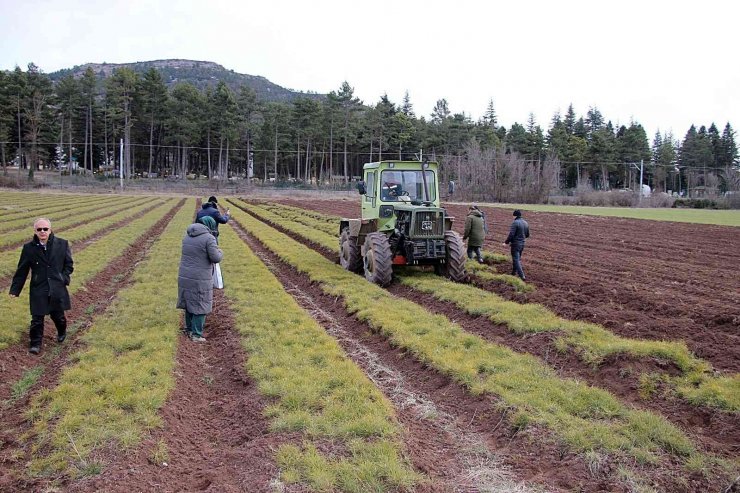 Azeri ormancılık heyeti Eskişehir’de