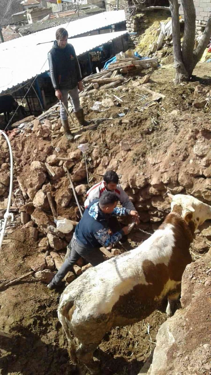 Halkapınar’da ahır çöktü 1 inek telef oldu