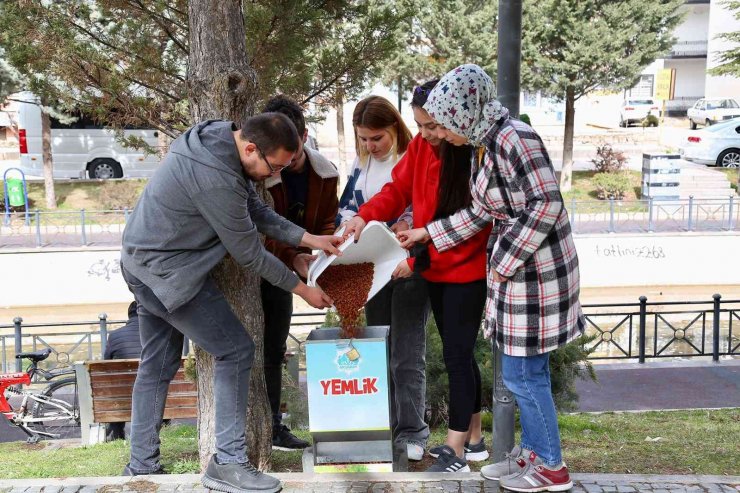 Aksaray’da sokak hayvanları için mama ve su bırakıldı