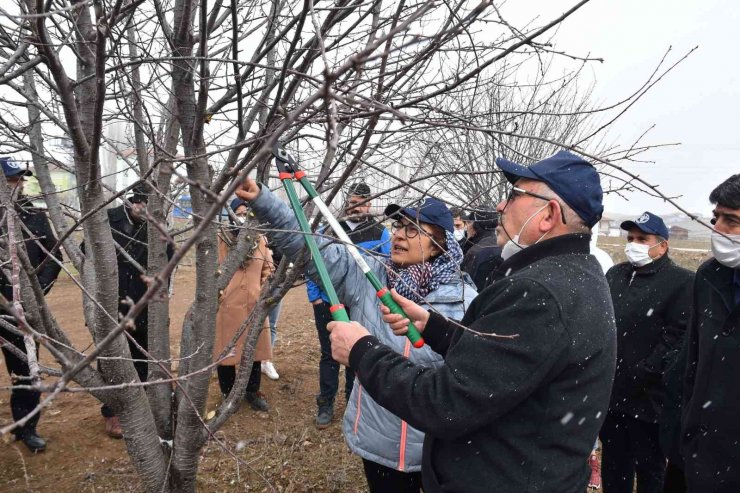 Ankara’da üreticilere “Vişne Üretim Teknikleri Eğitimi”