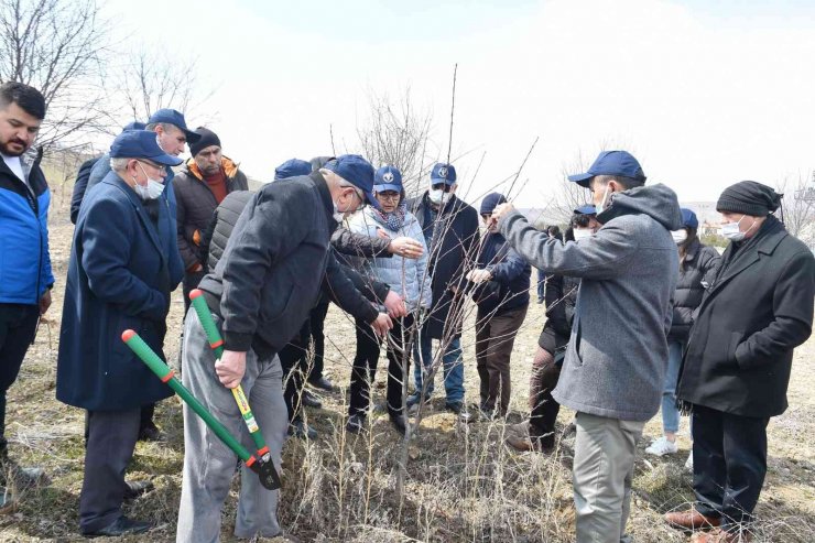 Ankara’da üreticilere “Vişne Üretim Teknikleri Eğitimi”