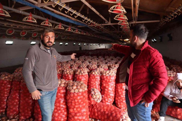 Üreticilerin elinde kalan soğanlar depolarda çürüyor