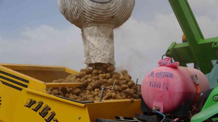 Yazlık Patates ekimi başladı