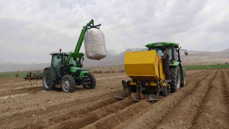 Yazlık Patates ekimi başladı