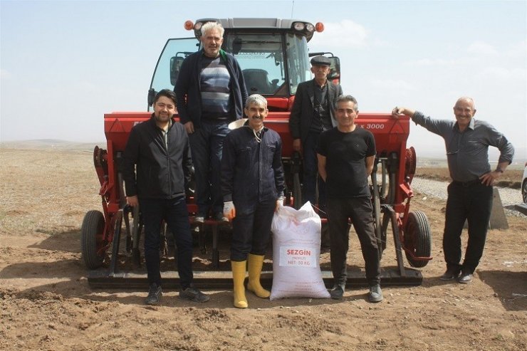 Yozgat’ta 7 çeşit nohut toprakla buluştu