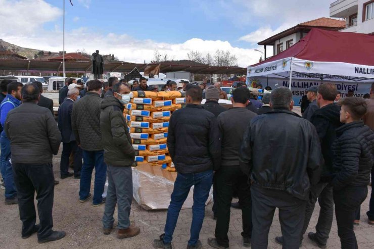 Nallıhan’da üreticilere silajlık mısır tohumu desteği