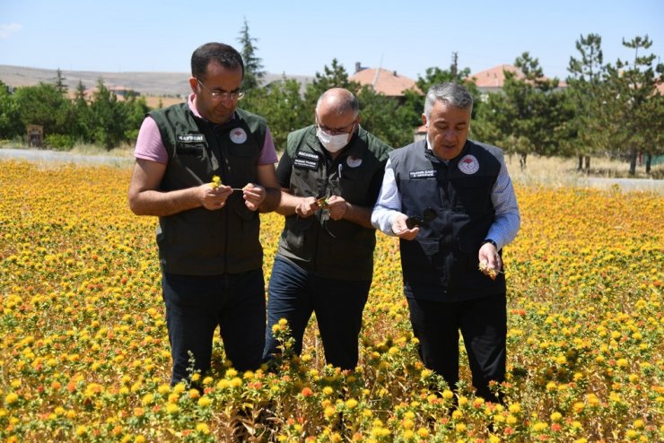 Kayseri aspir merkezi oldu