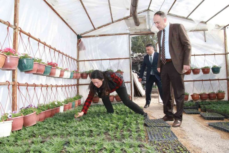 Başkan Saygılı: "Çiçek seraları bütçemize tasarruf sağlıyor"