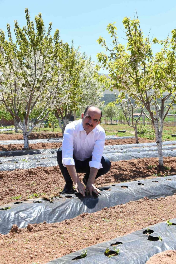 Başkan Altay: “Tarım en az savunma sanayi kadar önemli”