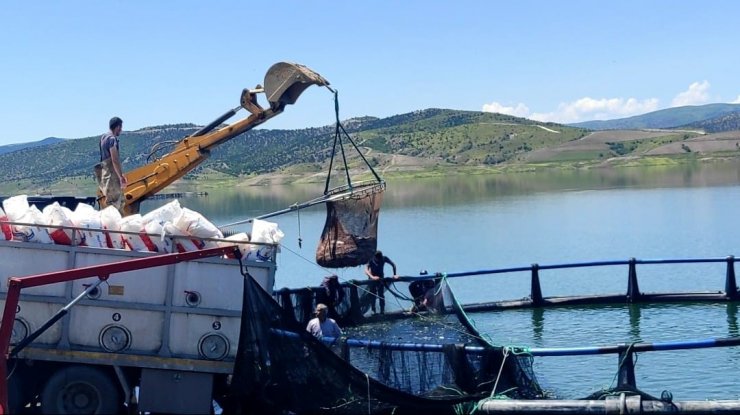 Bozkırın ortasında Yozgat’ta üretiliyor, Denizli’de işlenip Uzak Doğu ve Avrupa ülkelerine ihraç ediliyor