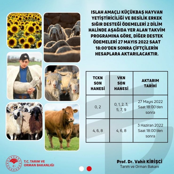 7 farklı kalemde 1 milyar lirayı aşkın destek ödemeleri başladı