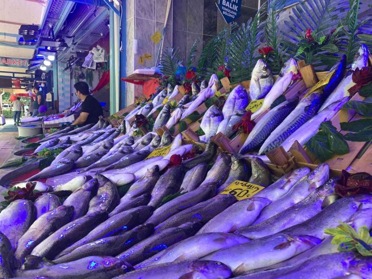 Av yasağına rağmen Eskişehir’deki balık tezgâhları dolu