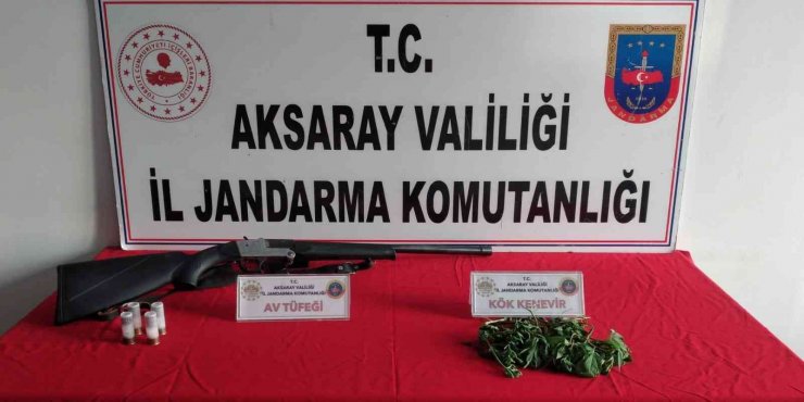 Bahçe ve saksıda kenevir üretimine jandarma baskını: 3 gözaltı