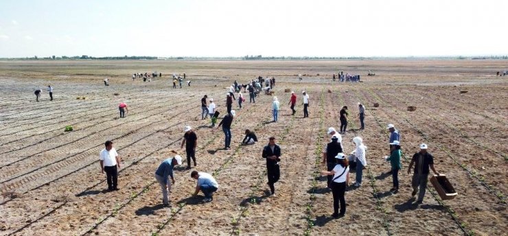 Ereğli’de organik tarımda ilk adım atıldı