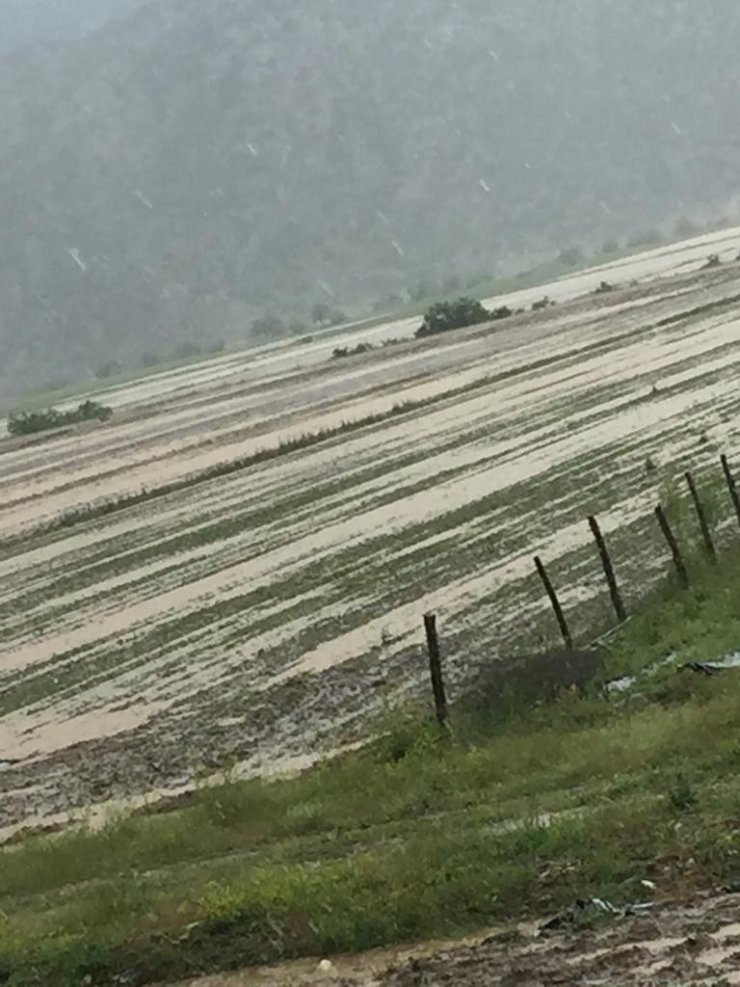 Derebucuk’ta ekili araziler sular altında kaldı