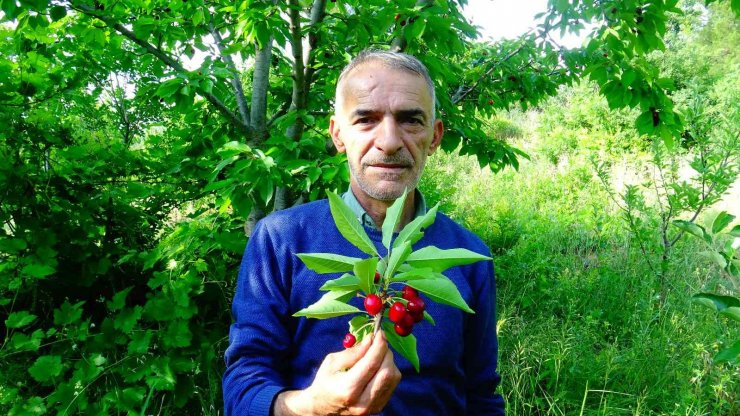 Meyve üreticileri hal binasının açılmasını bekliyor