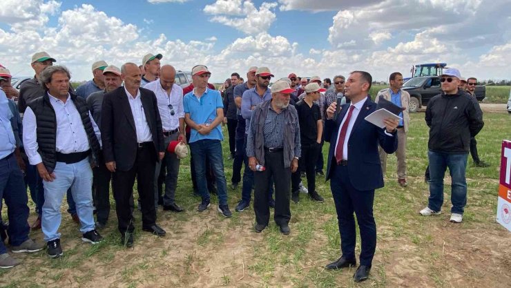 Konya’da Tarla Günü’nde yeni hububat çeşitleri tanıtıldı