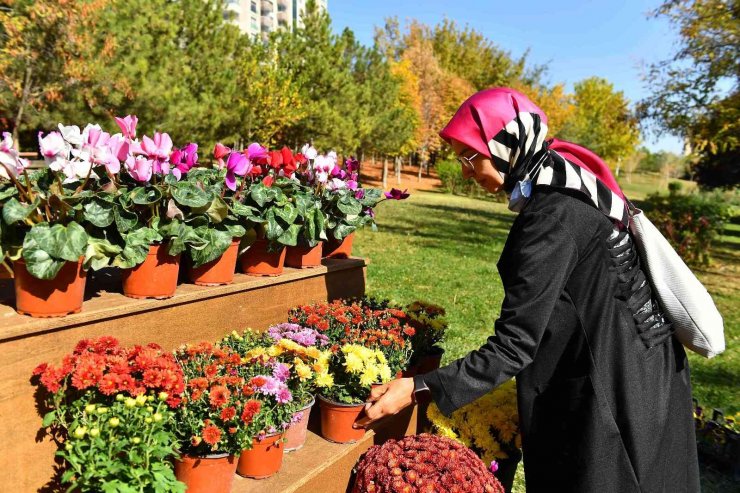 Başkentte “Çiçeğim Takası” uygulaması başlıyor