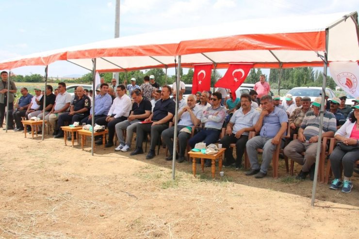 Hüyük’te deneme üretimi yapılan ’Taner’ tohumu tanıtıldı