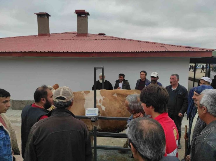 Yıldızeli Canlı Hayvan Pazarı hizmete girdi