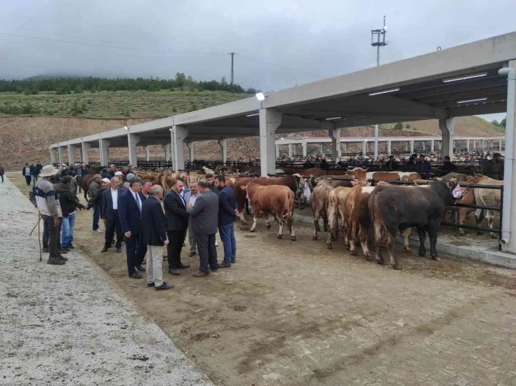 Yıldızeli Canlı Hayvan Pazarı hizmete girdi