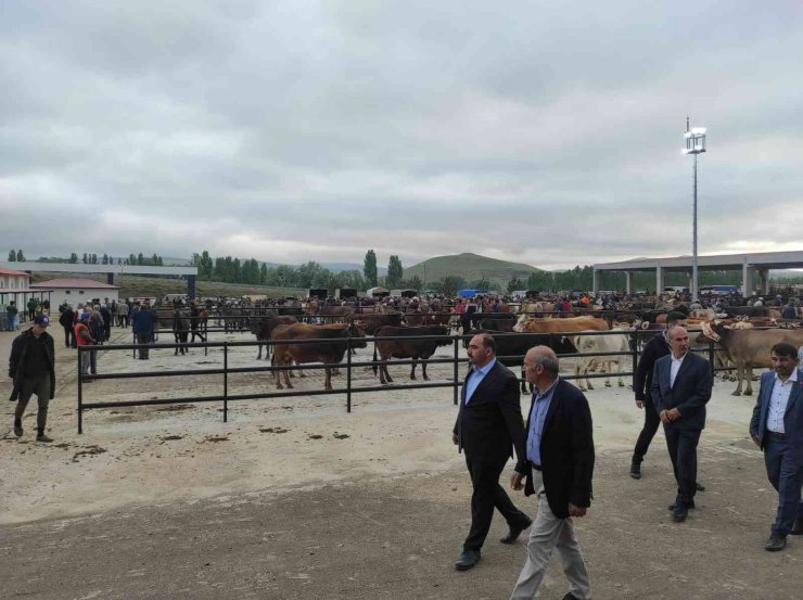 Yıldızeli Canlı Hayvan Pazarı hizmete girdi