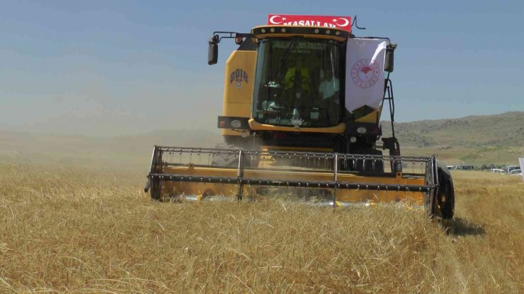 Nevşehir’de ilk hububat hasadını Vali Becel yaptı