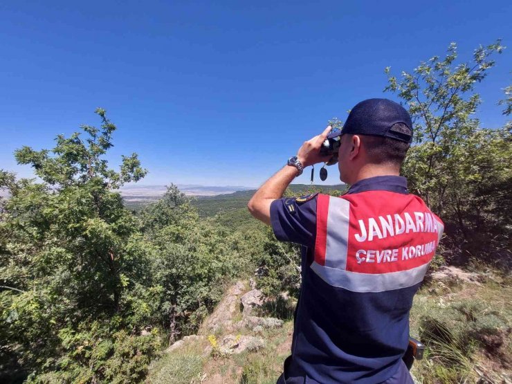 Jandarma yangınlara karşı ormanı dron ile denetliyor