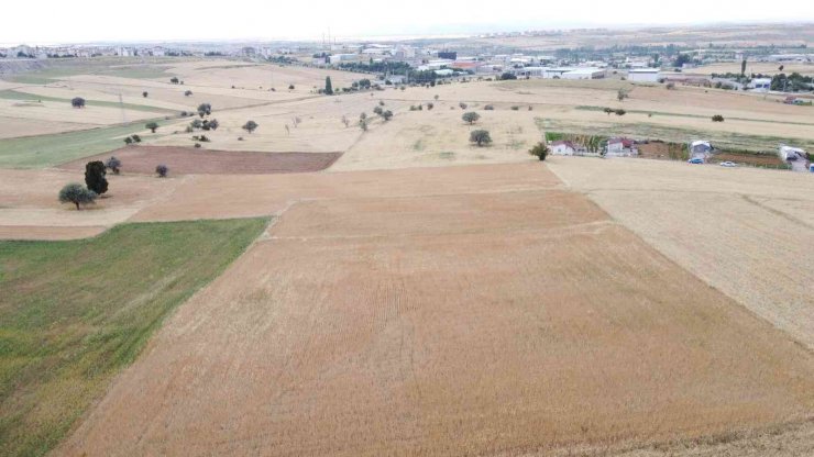 Çiftçiler hububat hasadı sezonunu dualarla açtı