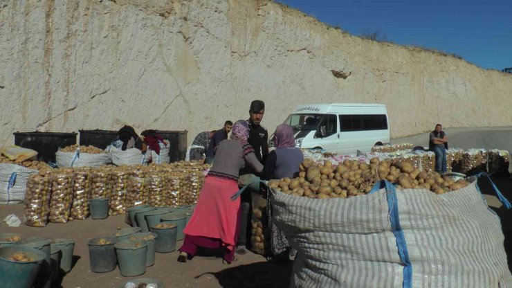 Nevşehir Valisi Becel: "Nevşehir; Türkiye’nin patates sevkiyat üssü"