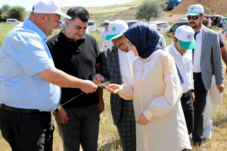 Akyurt’ta hasat zamanı