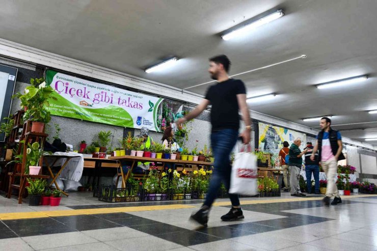 Başkentte ‘Çiçeğim Takas’ uygulaması devam ediyor