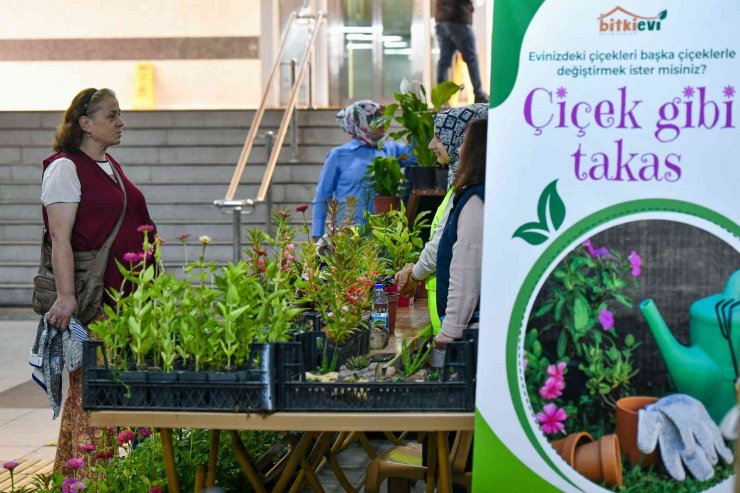 Başkentte ‘Çiçeğim Takas’ uygulaması devam ediyor