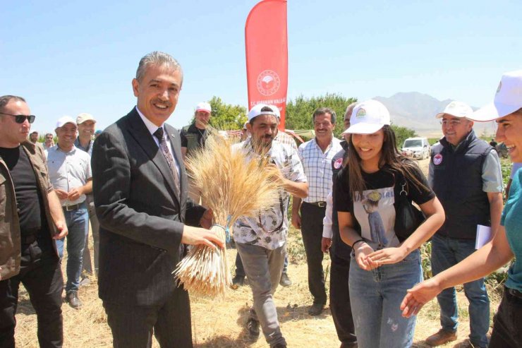 Karaman ovasında son buğday hasadı yapıldı