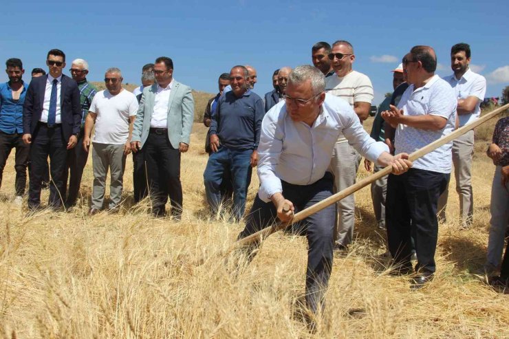 Harabede bir avuç bulundu, 8 yılda yaklaşık 70 tona ulaştı