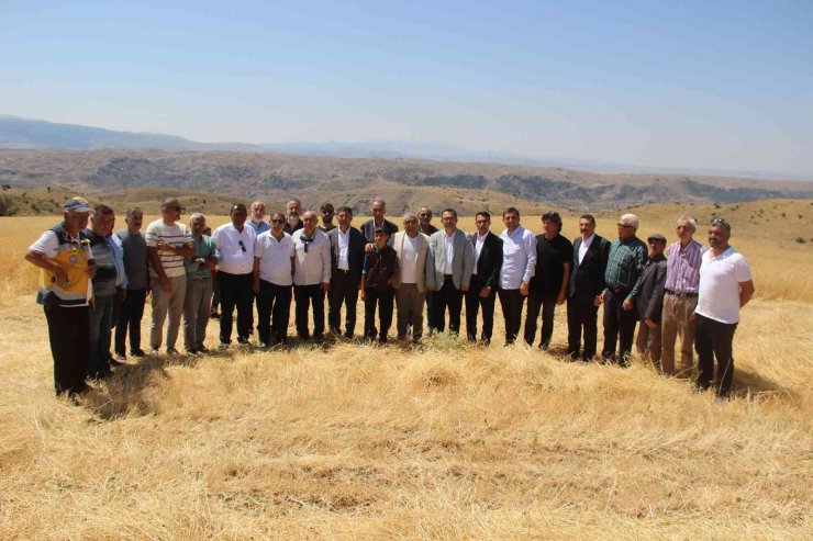 Harabede bir avuç bulundu, 8 yılda yaklaşık 70 tona ulaştı