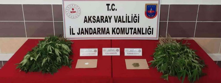 Aksaray’da jandarmadan uyuşturucu operasyonu