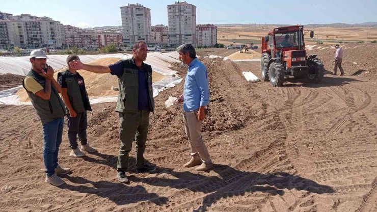 Buğdayda rekor üretimle ambarlarda boş yer kalmadı