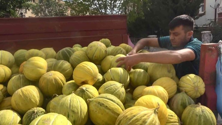 Çankırı’nın meşhur kavunu tezgahlarda yerini aldı