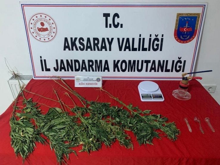 Jandarmadan uyuşturucu operasyonu: 2 gözaltı